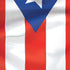 Puerto Rico Flag iPhone XS Skin